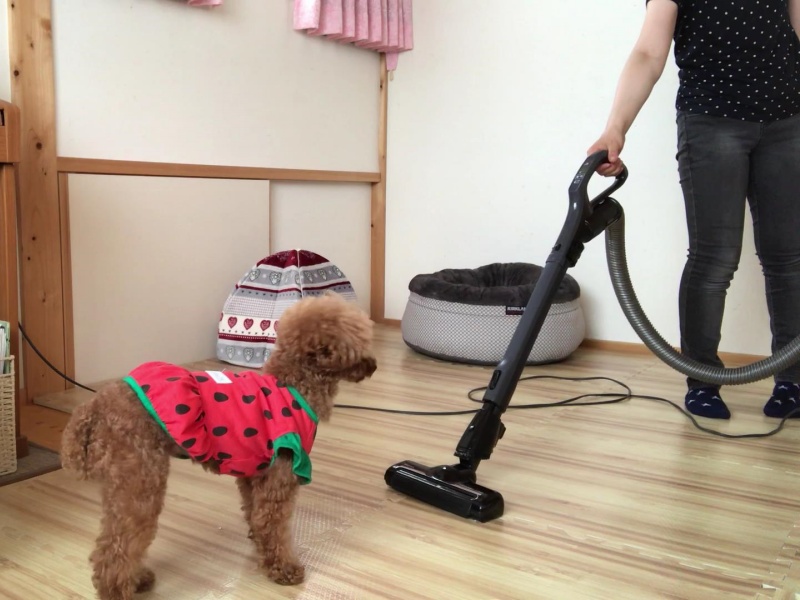 掃除機と犬
